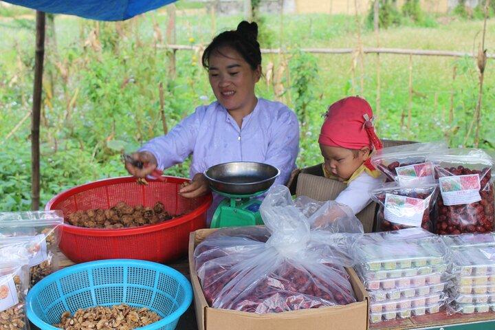 6 - 8 Day Vietnam Itinerary | Magnificent | Best 2026 Northern