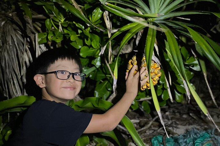 Okinawa Ishigaki Island Night Starry sky and Jungle night tour