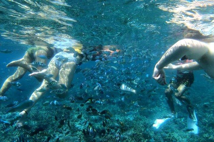 Snorkeling Trips with Manta Ray from Nusa Lembongan
