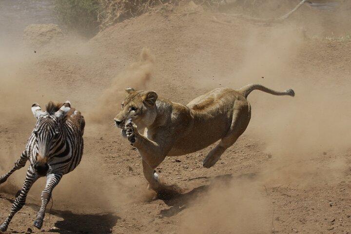 4 Day Tarangire-Ngorongoro Crater-Mount kilimanjaro from Arusha