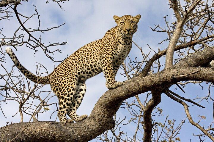 5 Days Tanzania Budget Camping Safari from Arusha
