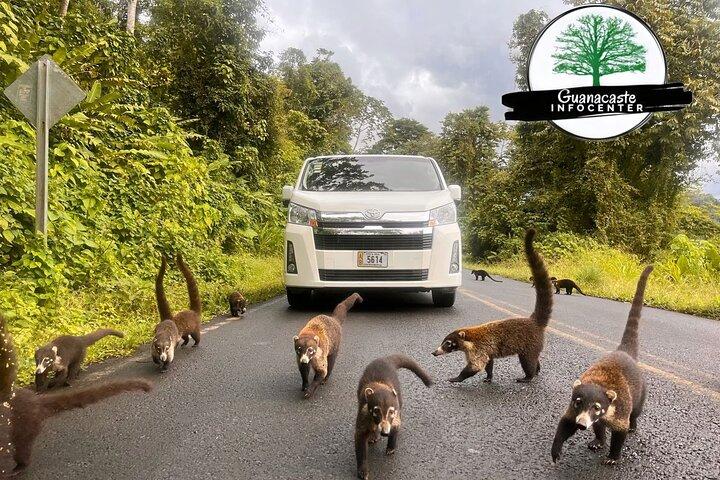 Costa Rica Private Guanacaste Airport ( LIR ) Arrival Transfer