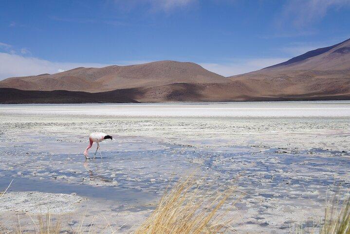 3 Days 3 Nights Salar de Uyuni Tour by Air