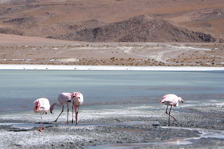 3 Days 3 Nights Salar de Uyuni Tour by Air