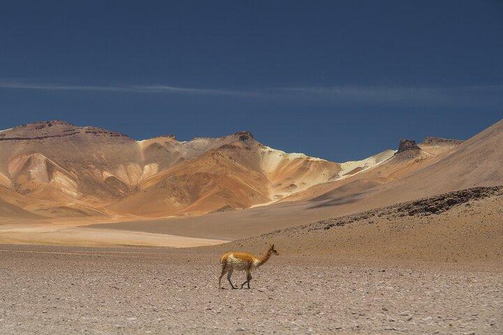 3 Days 3 Nights Salar de Uyuni Tour by Air