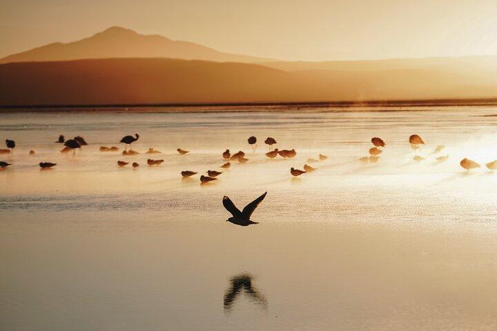 5 Day Uyuni Salt Flats Tour with private Hotel from La Paz