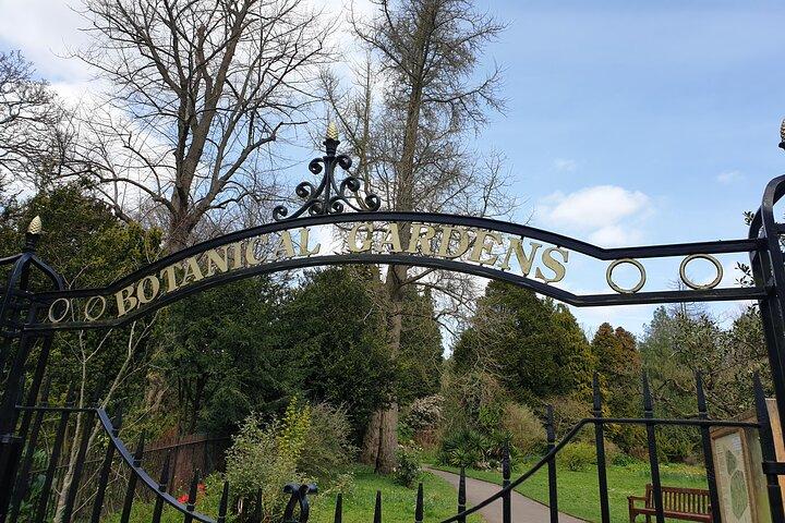 Bath - (4 hours) Extended Walking Tour - Blue Badge guide
