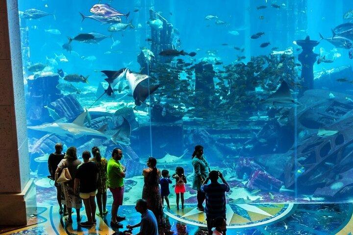Admission to Lost Chamber Aquarium