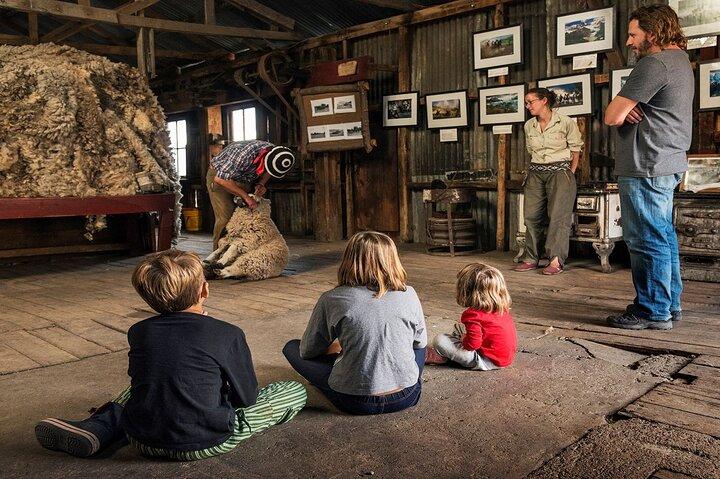 Patagonian Ranch: Nibepo Aike Adventure with Horseback Riding
