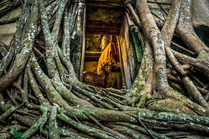 Bangkok: Amphawa Float Market & Maeklong Railway Evening Tour