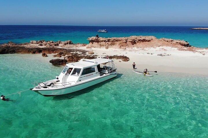Muscat: Daymaniyat island Natural Reserve and Dolphin Watching