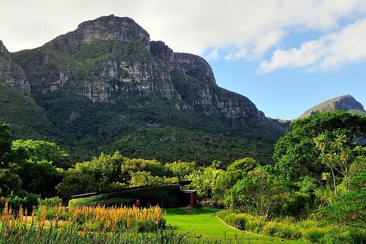 Kirstenbosch and Table Mountain Tour