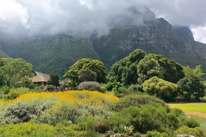 Kirstenbosch and Table Mountain Tour
