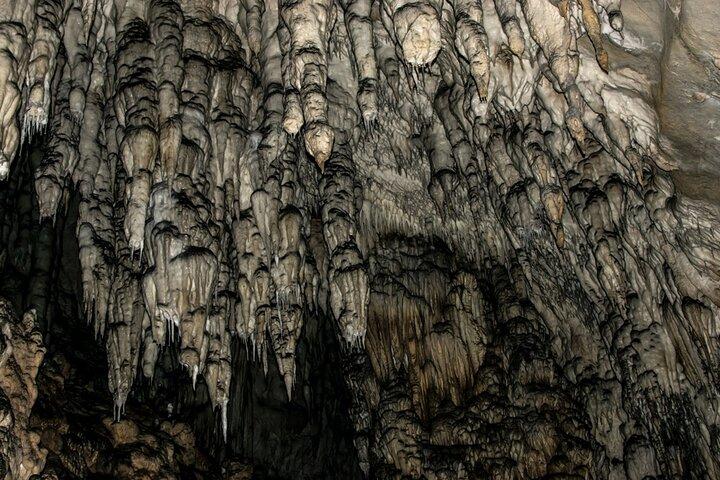 Full Day Trip from Belgrade: Uvac Nature Reserve Tour