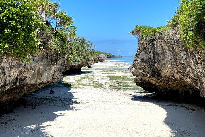 Explore Zanzibar's 6 Quintessential Southeastern Charm Full day