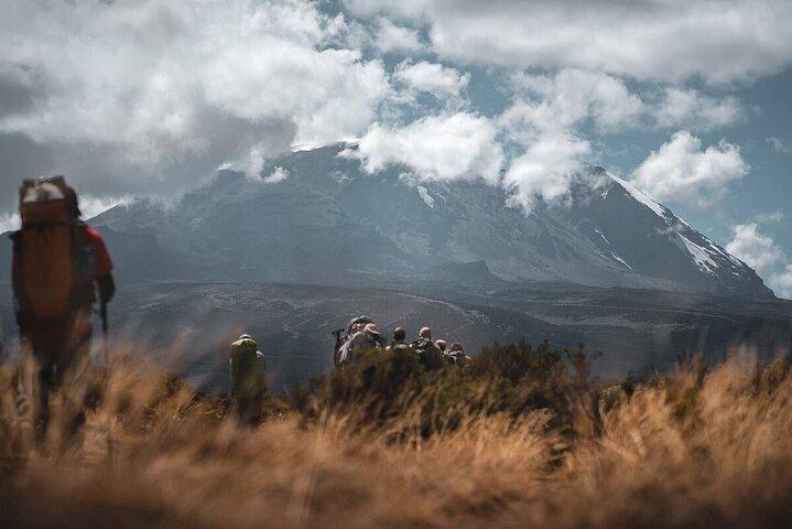 Hiking the foothills of Kilimanjaro