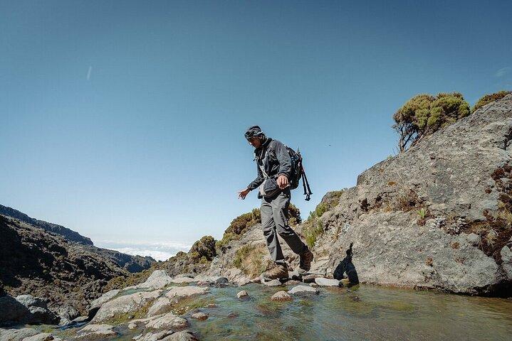Hiking the foothills of Kilimanjaro