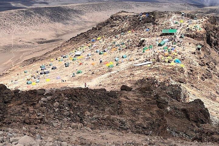 Hiking the foothills of Kilimanjaro