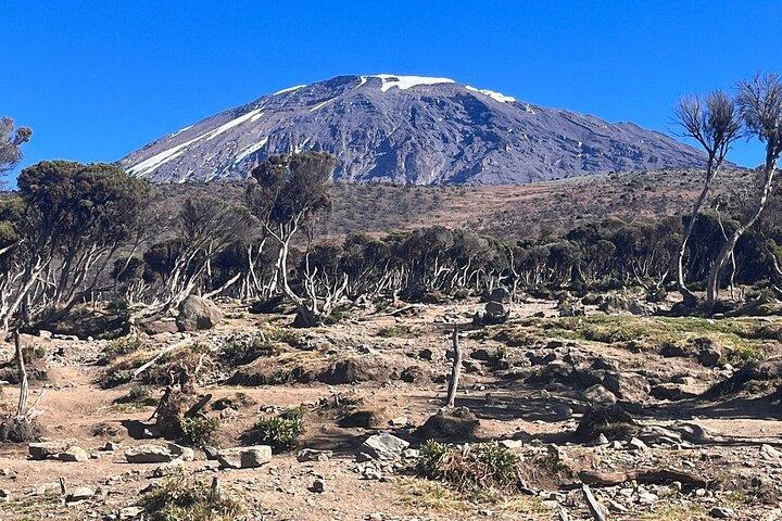 Hiking the foothills of Kilimanjaro
