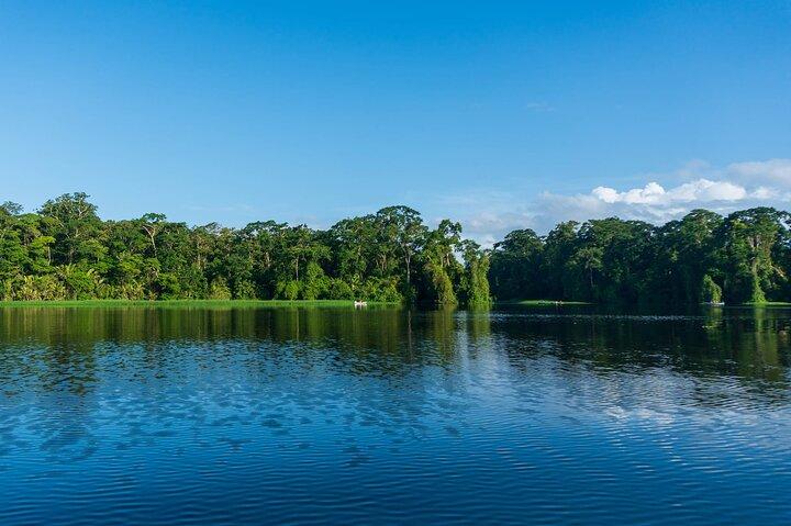 Tortuguero:Canoe tour, day hike, hill tour, night or spawning tour