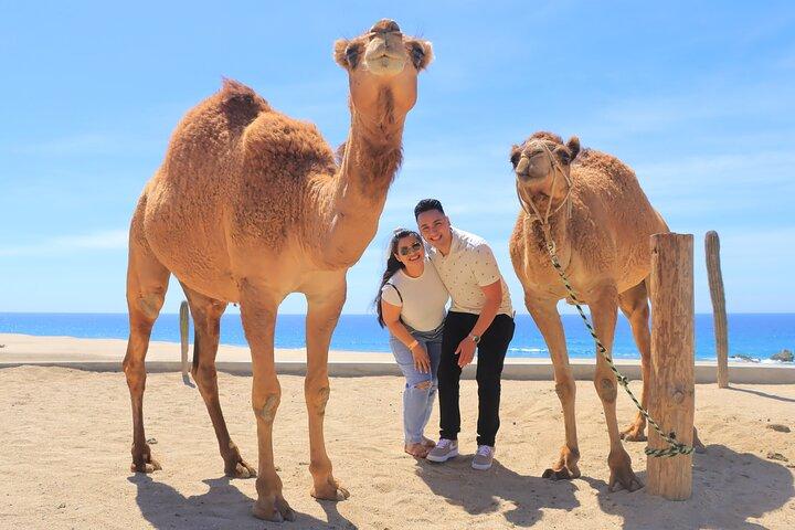 Beach, ATV, and Camel Ride Combo Tour