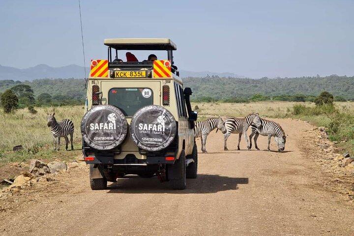3 Days 2 nights Group joining Midrange Safari Tour in Masai maraa