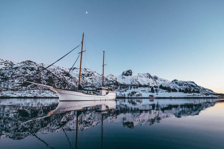 Tromso Luxury Sailing Yacht Polar Fjord Cruise with Lunch