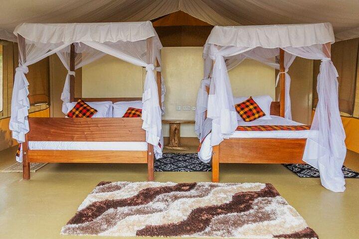 3 Days Best of MasaiMara Wildlife Private Safari, Mid-Range offer