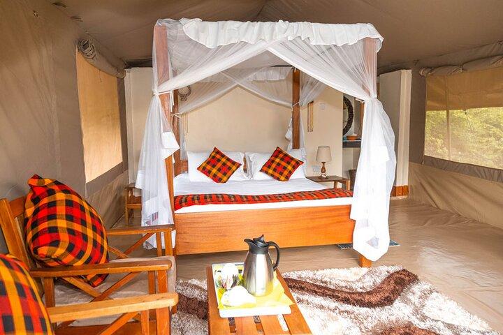 3 Days Best of MasaiMara Wildlife Private Safari, Mid-Range offer
