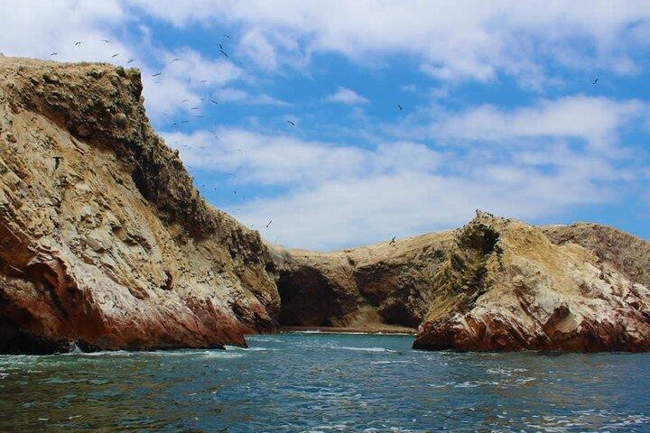 2-Hour Tour to the Ballestas Islands from Puerto San Martín