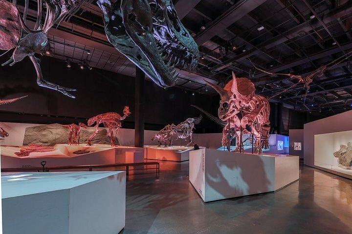 Houston Museum of Natural Science and Cockrell Butterfly Center