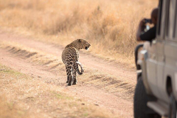5-Day Private Camping Tour to Serengeti, Ngorongoro & Tarangire