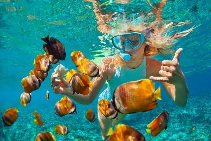Mnemba Island Marine Safari Snorkeling and Dolphin Watching