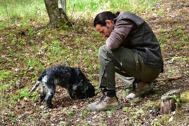 Umbria Truffle Hunting Experience with Tasting