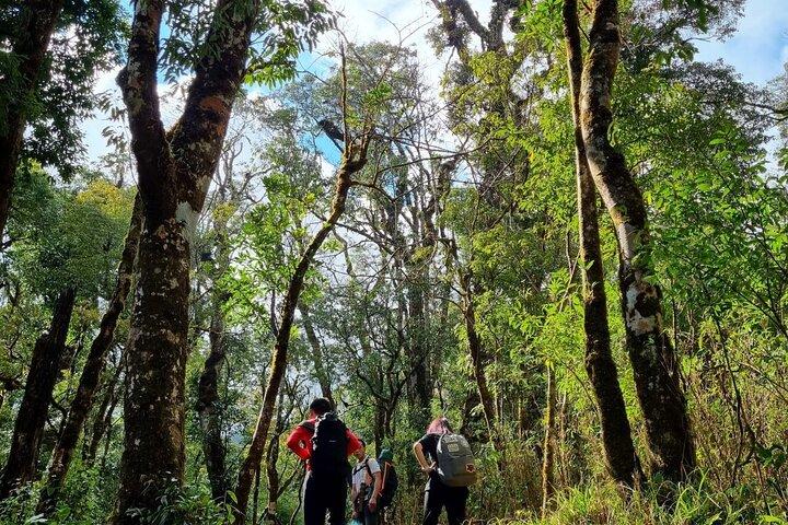 Sapa 1 day trek with local guide to the village by Comlam