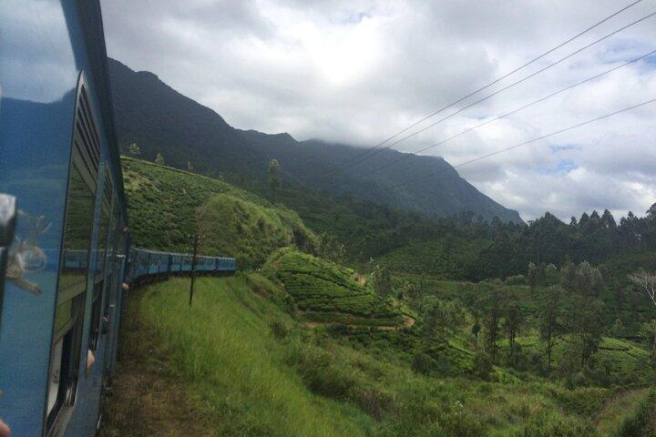 2 days trip Nuwara Eliya, Ambewela, Ella, Udwalawa and Yala
