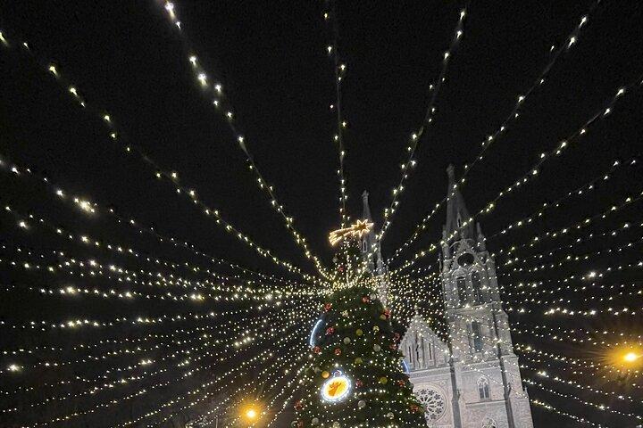 Walking tour in Prague Christmas Market and Festivities