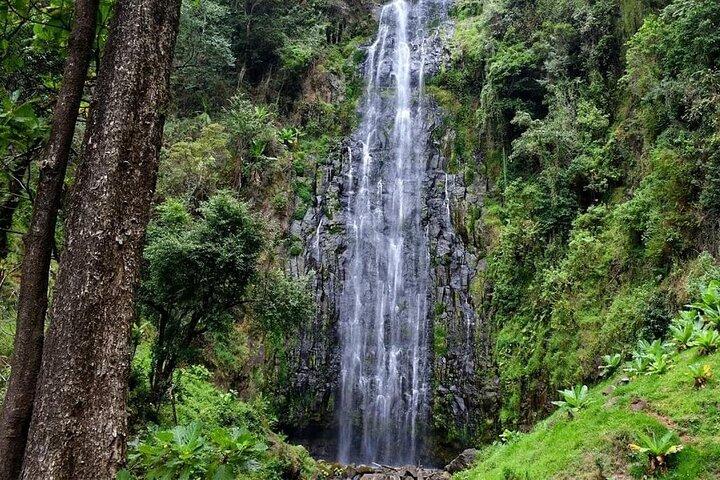 Waterfalls, Hot Spring & Local Coffee Tasting Tour