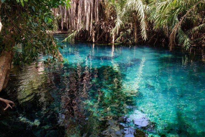 Waterfalls, Hot Spring & Local Coffee Tasting Tour
