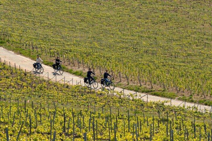 From Reims afternoon e-bike tour, visit and champagne tastings