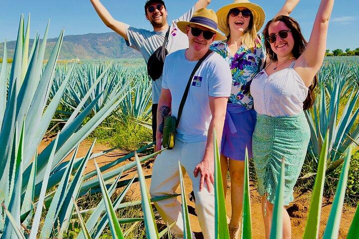 Tequila/Guachimontones Tour-cultural heritage route