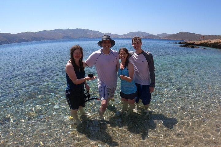 Private 1-Hour Guided Snorkeling Adventure with Go Pro Pictures
