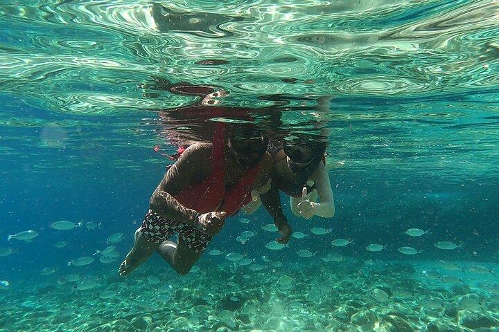 Private 1-Hour Guided Snorkeling Adventure with Go Pro Pictures