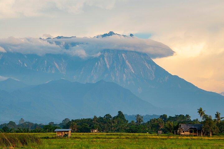 Kota Kinabalu to Kundasang Private Day Tour and Poring Hot SPA