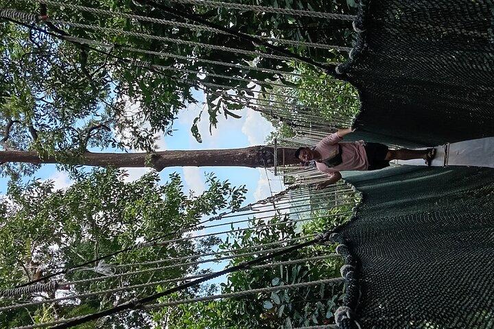 Kota Kinabalu to Kundasang Private Day Tour and Poring Hot SPA