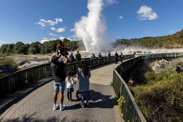Exclusive Day Trip from Te Puia to Wine Tasting and Redwoods