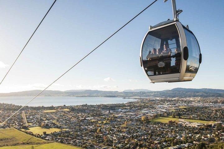 Exclusive Day Trip from Te Puia to Wine Tasting and Redwoods