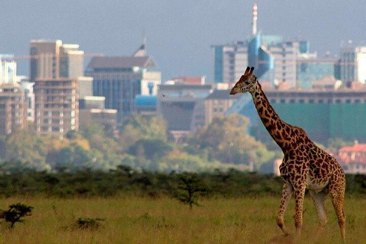 Nairobi National Park, Giraffe Center &Bomas cultural dances