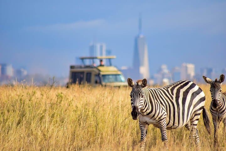 Nairobi National Park with Elephant Orphanage and Giraffe Center.