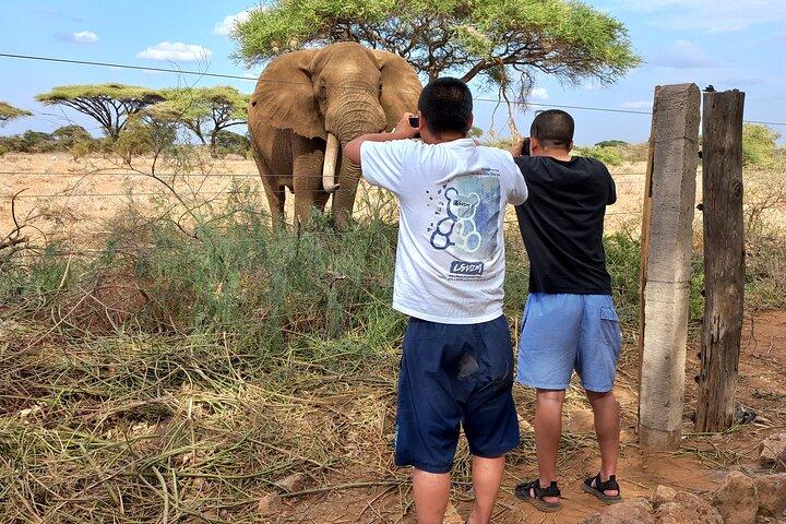 3 Days Amboseli national Park experience.